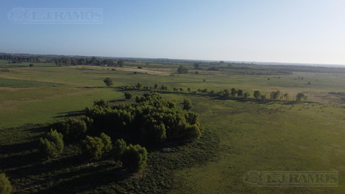 Ayres de Cardales
