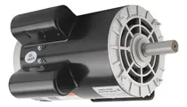 Comprar Motor Eléctrico 5hp 7\u002F8  3450rpm 60hz 56