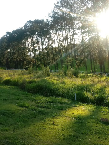 Imagem 6 de 8 de Condomínio De Chácaras Terreno 20x50 1000m2,muita Área Verde,bem Localizado,rota Do Vinho São Roque - Te00109 - 69314304