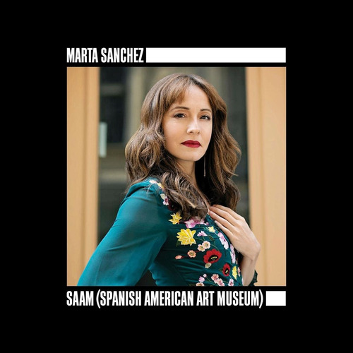 Cd:saam (spanish American Art Museum)