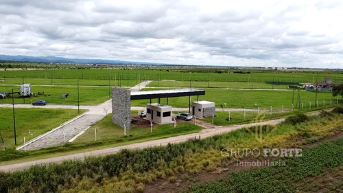 Imagen 24 de 26 de Terreno A La Venta En La Ernestina
