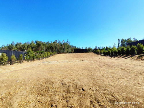 Imagen 5 de 7 de Sitio En Condominio Parque Maitencillo.