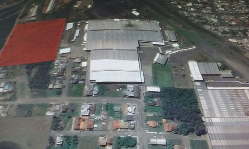 Imagem 5 de 8 de Terreno - Moinhos De Vento - Ref: 7155 - V-7155