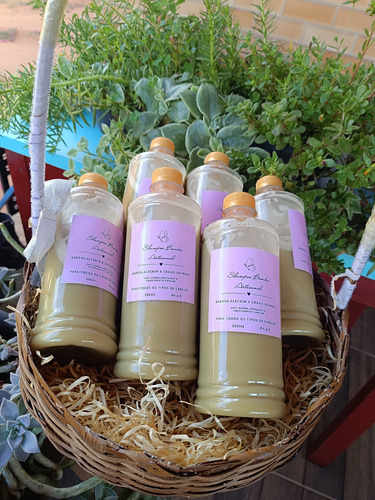 Shampoo Bomba Natural Artesanal,queda E Crescimento