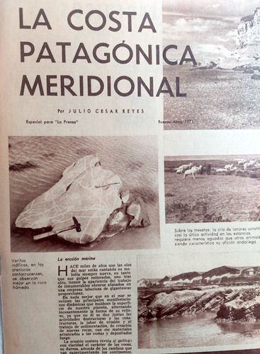 Patagonia Geologia Estratigrafia Costa De Santa Cruz 1971 