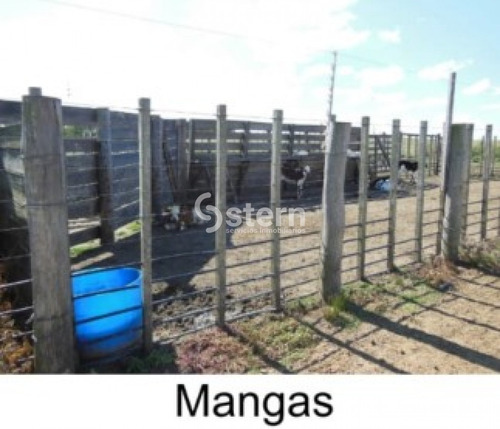 Venta Campo En Puntas De Maciel, Florida- Ref: 1640