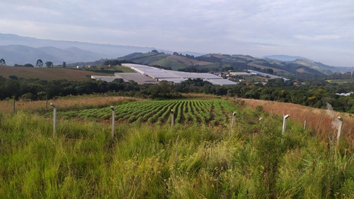 Chácara Itapeva Minas Gerais