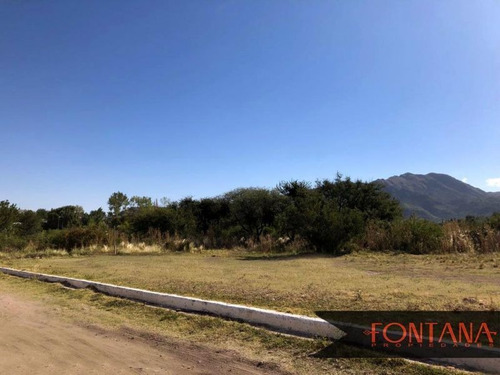 Imagen 3 de 3 de Lote | Los Membrillos