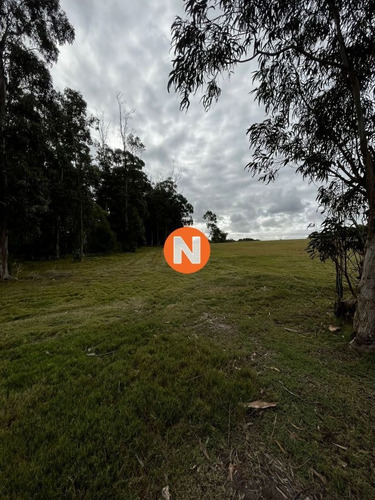 Imagen 8 de 8 de Venta De Lote En Las Garzas Punta Del Este - Las Garzas Las Garzas