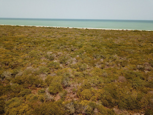 Increíble Terreno En Venta En La Costa Yucateca