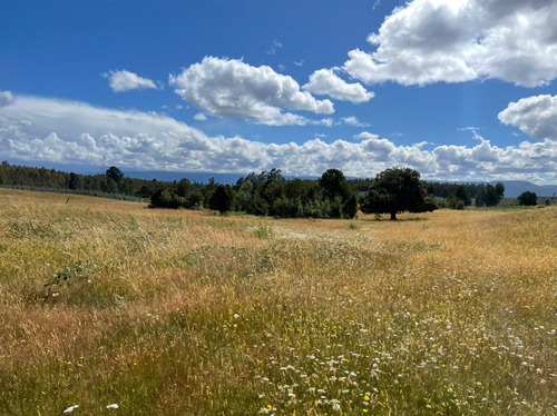 Campo De 22 Hectáreas Cercano A Fresia.