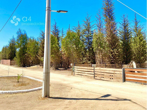 Sitio Tranquilo, Sector Bosques De Quirilluca, Maitencillo