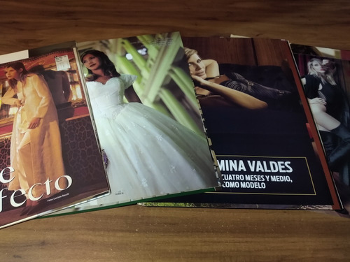 Guillermina Valdes * Lote 100 Paginas Revistas Clippings