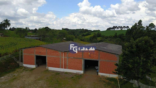 Imagem 5 de 20 de Chácara Com 5 Dormitórios À Venda, 51000 M² Por R$ 1.399.000,00 - Cardoso - Lapa/pr - Ch0045