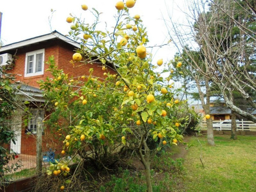 Imagen 7 de 7 de Terreno En Venta En Ezcurra Medrano