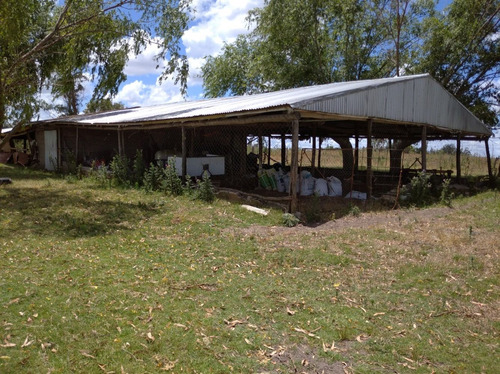 Chacra De 13 Hectáreas Con Casa Y Cañada