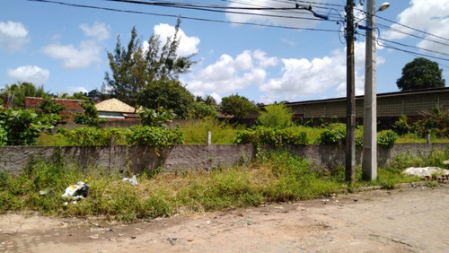 Imagem 2 de 4 de Terreno Para Venda - 008573