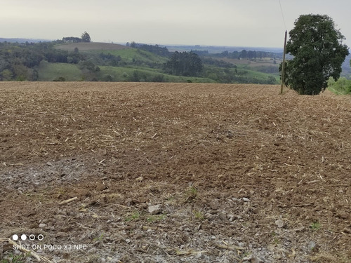 Imagem 4 de 11 de Sítio 8 Alqueires, Planta 6,5 Alqueires, Sem Benfeitorias, Água Corrente No Fundo Da Propiedade, 2,5km Do Asfalto - St00124 - 70141822