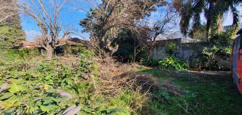 Imagen 5 de 6 de Lote En Esquina Ciudad Evita