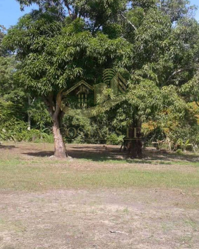 Terreno Con Bienhechuría En Venta Ubicado En Caruao Ref2468