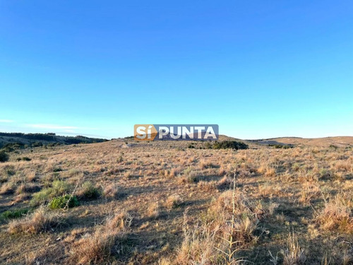 Imagen 2 de 5 de Campo En Venta, Las Cañas, Maldonado