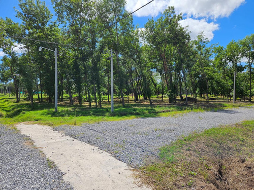 Terreno En Venta - Loma Verde - Escobar