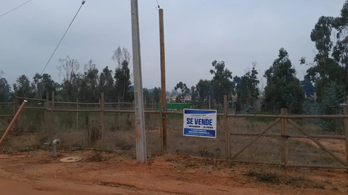 Excelente Sitio En Sector Residencial De Algarrobo