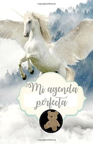 Libro: Mi Agenda Perfecta (edición En Español)