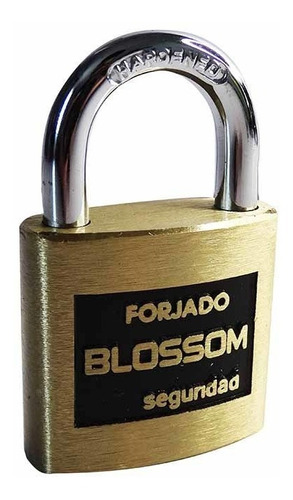 Candado Bronce Forjado 50 Mm Blister Blossom