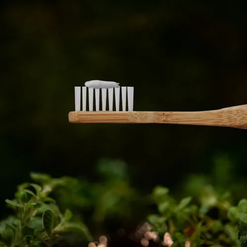 Cepillo Dental Medio Bambú Biobrush Con Nanocobre