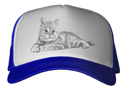 Gorra Gato Persa Acostado Dibujo