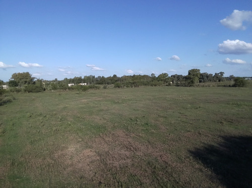 Lote En Venta 2000m2 Carmen De Areco, 0portunidad!