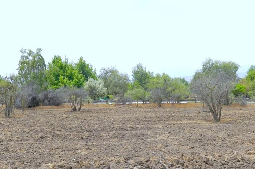 Sitio Hacienda Chicureo