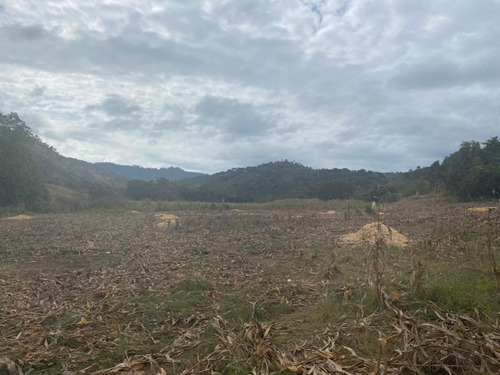 Oportunidad De Inversión En Chiapas: Rancho De 10 Hectáreas Con Documentación Al Día Y Plusvalía En Crecimiento