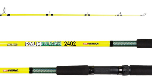 Caña Pesca Variada Waterdog Palm Beach 2.7 Acciòn Pesada 80g