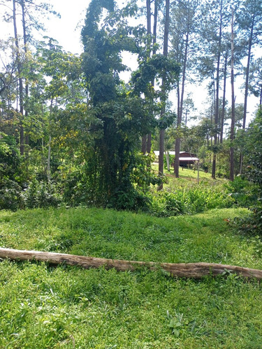 Lotes En Barrio Cercado La Cueva Del Teyu San Ignacio