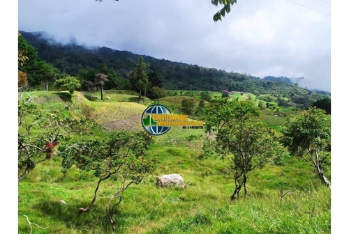 Imagen 2 de 10 de Finca Jaji