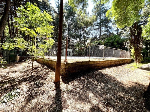 Imagen 18 de 26 de El Mejor Terreno De Colinas Del Bosque