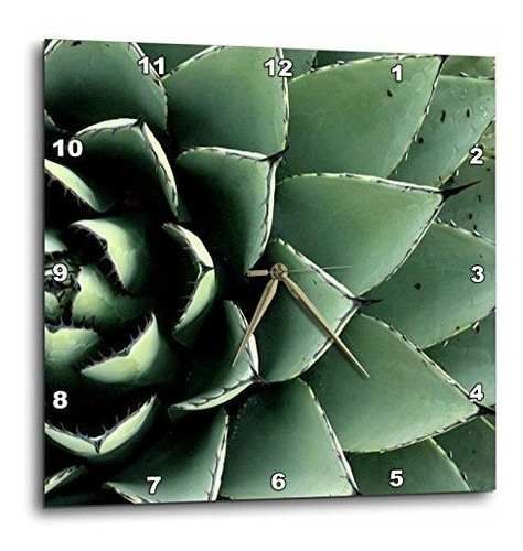Reloj De Pared 3d Agave Cactus Succulent, Santa Fe
