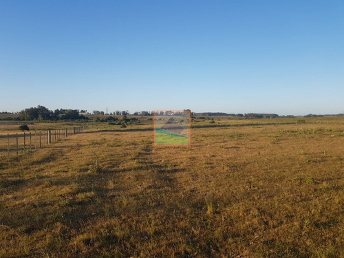 Imagen 2 de 12 de Chacra 7 Hás Rincón De José Ignacio