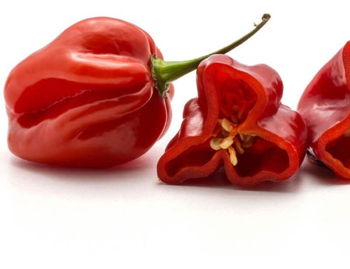 10 Semillas De Aji Picante Habanero Rojo