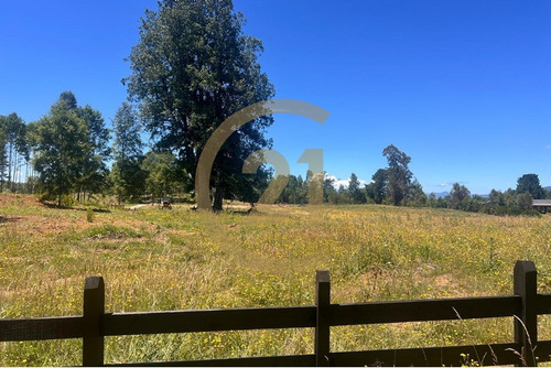 Parcelas A 15min De Villarrica Crédito Directo
