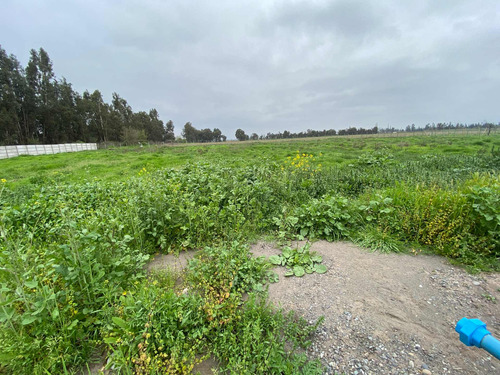 Imagen 15 de 19 de Bajó De Precio! Sitio En Parcelación De Isla De Maipo