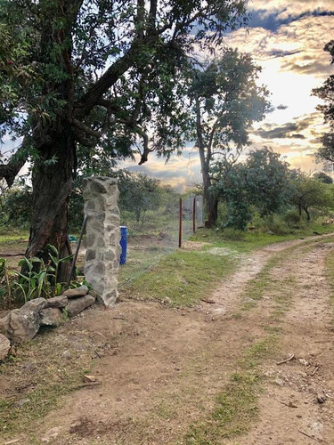 Imagen 3 de 12 de Campo - Villa Del Dique