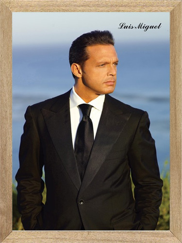 Luis Miguel  , Cuadro, Música, Poster         P484