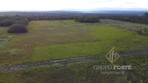 Imagen 18 de 29 de Lotes En Quillinzo