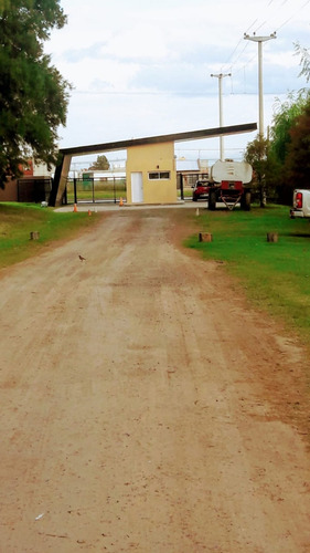 Imagen 2 de 5 de Importante Terreno,las Casuarinas-ibarluce