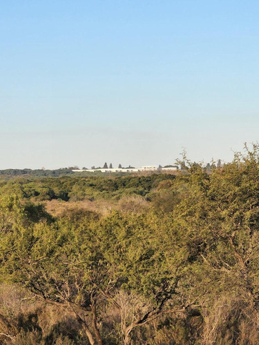 Imagen 2 de 3 de Campo - Parana