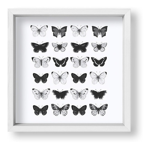 Cuadros Para La Casa 20x20 Box Blanco Mariposas