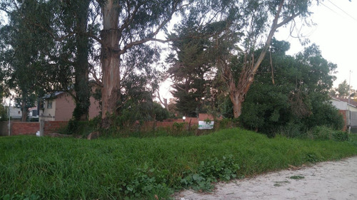 Imagen 2 de 2 de Lote De 272m2 En Pescadores Y Gutemberg